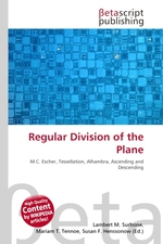 Regular Division of the Plane