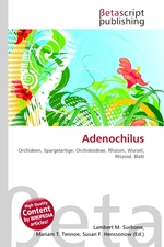 Adenochilus