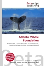 Atlantic Whale Foundation