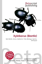 Xyleborus (Beetle)