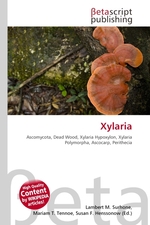 Xylaria