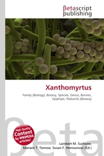 Xanthomyrtus