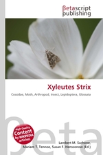 Xyleutes Strix