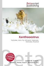 Xanthooestrus