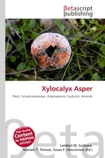 Xylocalyx Asper