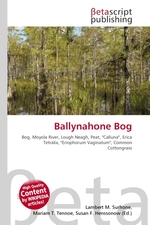 Ballynahone Bog