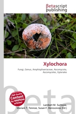 Xylochora