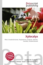 Xylocalyx