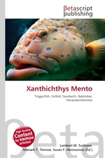 Xanthichthys Mento