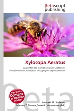 Xylocopa Aeratus