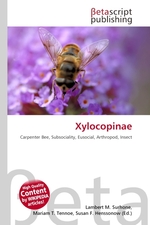 Xylocopinae