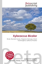 Xylococcus Bicolor