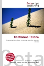 Xanthisma Texana