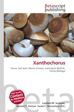 Xanthochorus