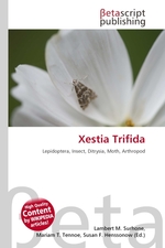 Xestia Trifida