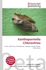 Xanthoparmelia Chlorochroa