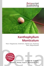 Xanthophyllum Monticolum