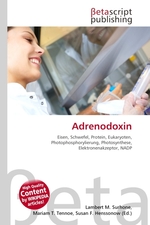 Adrenodoxin