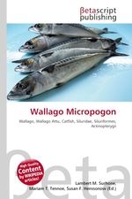 Wallago Micropogon