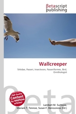 Wallcreeper