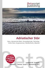 Adriatischer Stoer