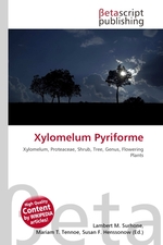 Xylomelum Pyriforme