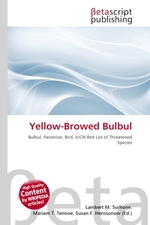 Yellow-Browed Bulbul