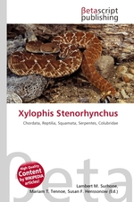 Xylophis Stenorhynchus