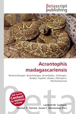 Acrantophis madagascariensis