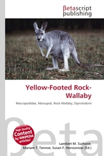 Yellow-Footed Rock-Wallaby