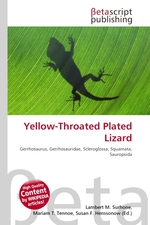 Yellow-Throated Plated Lizard