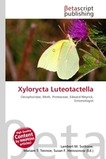 Xylorycta Luteotactella