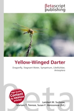 Yellow-Winged Darter