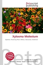 Xylosma Molestum