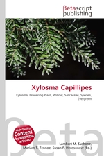 Xylosma Capillipes