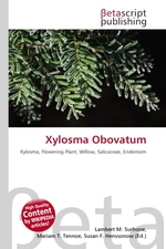 Xylosma Obovatum