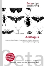 Aedeagus