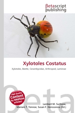 Xylotoles Costatus