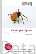 Xylotrupes Ulysses