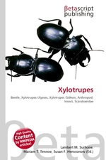 Xylotrupes