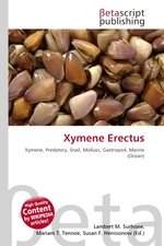 Xymene Erectus