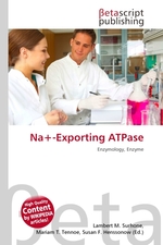 Na+-Exporting ATPase