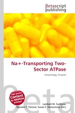 Na+-Transporting Two-Sector ATPase