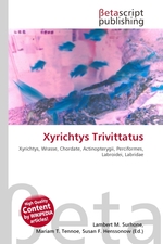 Xyrichtys Trivittatus