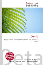 Xyris