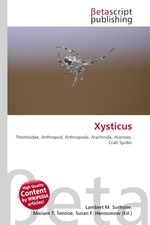 Xysticus