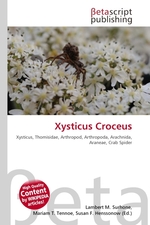 Xysticus Croceus