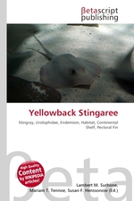 Yellowback Stingaree