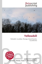 Yellowbill