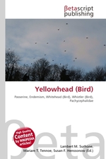 Yellowhead (Bird)